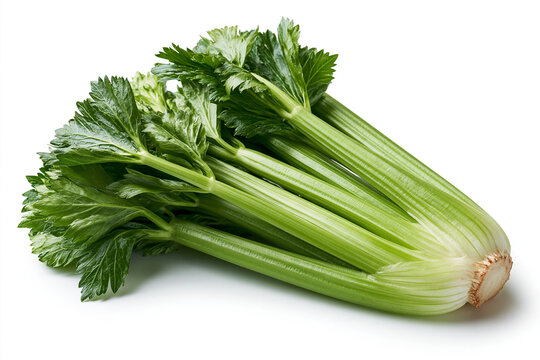 Fresh bunch of organic green celery stalks isolated on white background with organic food