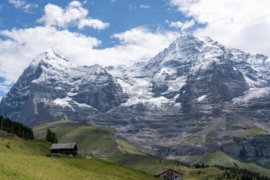 Eiger and Monch Peaks Above Alpine Meadow