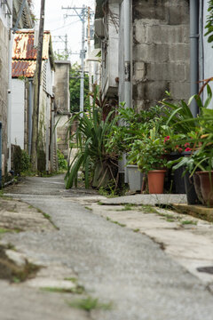 通りに植木鉢を置いている古い町の路地裏の細い道