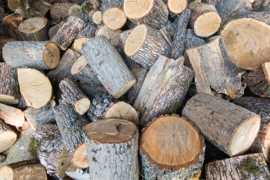 Firewood logs stacked showing tree bark. Rustic pile