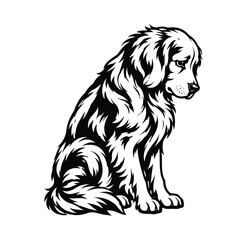 Obraz premium Black and white illustration of a sitting golden retriever dog