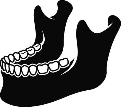 Human Mandible Jawbone with Teeth Anatomy Silhouette Icon Isolated on White Background