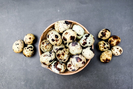 a collection of speckled quail eggs surrounded by soft quail feathers in a brown bowl with several eggs scattered around it isolated on a grey background