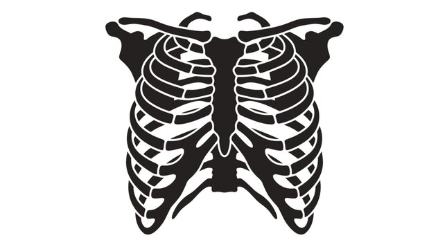 Black and white butterfly skeleton illustration showing detailed wing and body structure