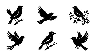 Fototapeta premium Vector Bird Silhouettes, Flying and Perching Ornithology Icons, Nature Wildlife Graphics