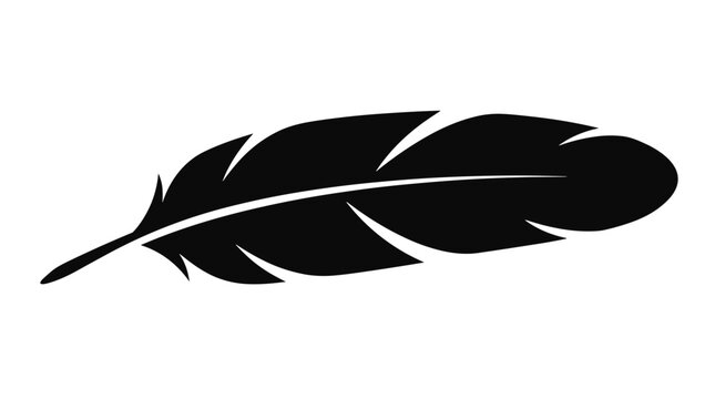 Black feather with detailed texture and natural shape