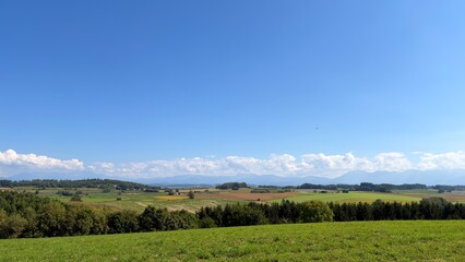 Obraz premium Patchwork farmland and mountain range in Biei, Hokkaido, Japan