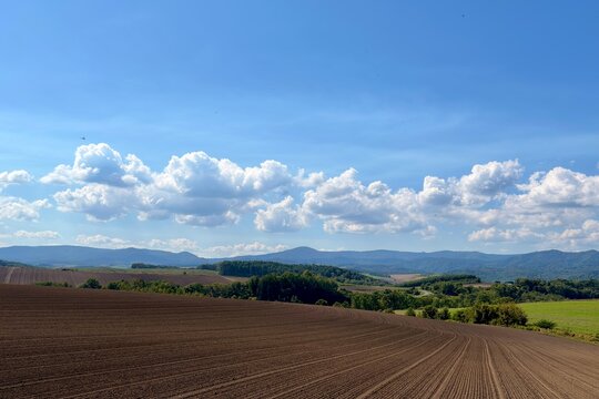 Curving cultivated fields and soft clouds in Biei, Hokkaido