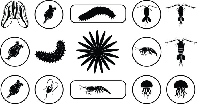 Microscopic Plankton and Marine Microorganism Black Silhouette Icon Set Featuring Copepods, Rotifers, Krill, Jellyfish Larvae, and Ocean Biology Graphic Elements