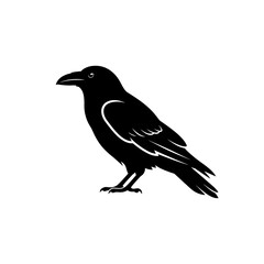 Fototapeta premium Mystical black crow vector illustration, detailed dark raven character, gothic bird silhouette and crow profile icon for occult design isolated on White Background halloween silhouette
