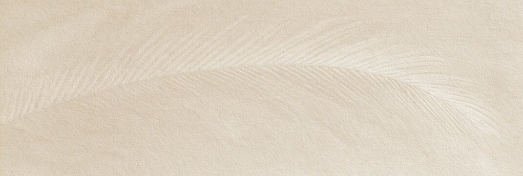 Ivory textured paper background with subtle wavy lines