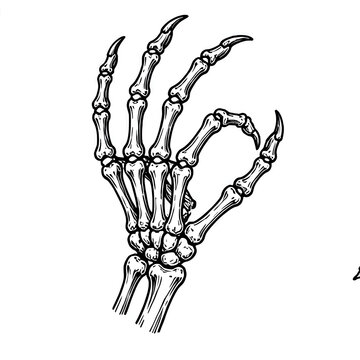 Hand skeleton Halloween vector