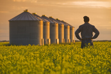 farmer in bloom stage canola field © Dave