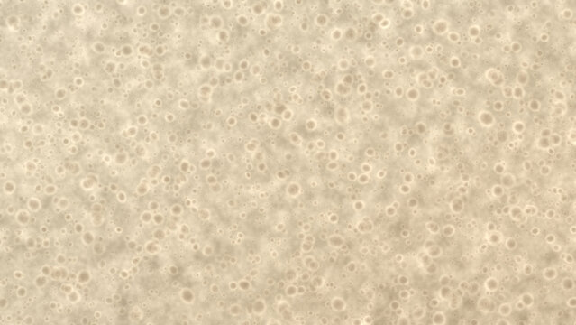 Soft honey sand cork board cellular texture for branding packaging and web heroes