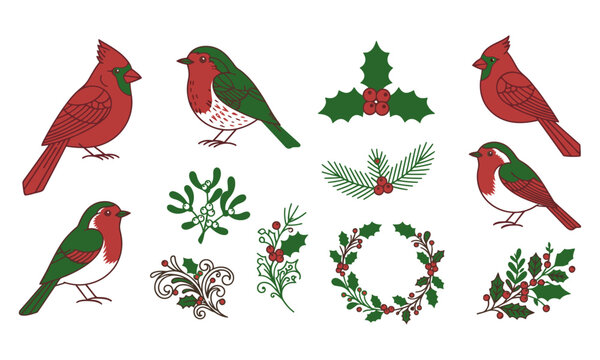 Red cardinal and green bird illustrations with holly foliage on white background