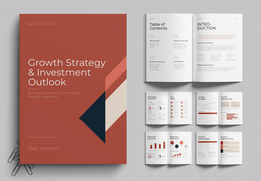 Corporate Growth And Investment Strategy