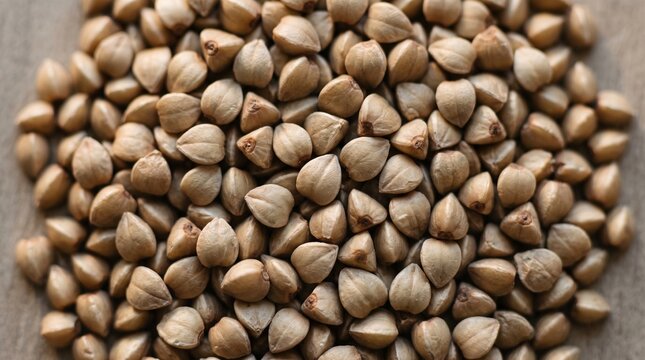 Pile of raw organic buckwheat groats on a wooden table surface
