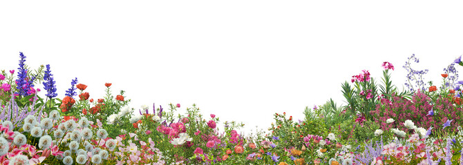 Obraz premium foreground flower gardens and meadows on a transparent background.