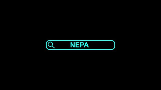 Nepal Search Bar Close Up Single Line Typing Text Box Layout Web Database Browser Engine Concept.4k vedio