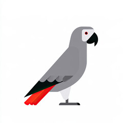Fototapeta premium transparent african grey parrot with red tail on flat background