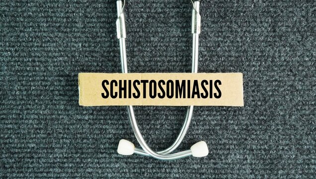 Stethoscope and paper box with the word Schistosomiasis, also known as bilharzia or snail fever, is an acute and chronic disease caused by parasitic blood flukes of the genus Schistosoma.