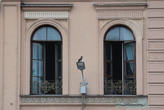 A crow is sitting on a wall‑mounted street lamp between two arched windows of an old house