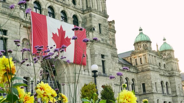 Victoria, British Columbia, Canada - September 18, 2026: Canadian flag on British Columbia Parliament Buildings with yellow and purple flowers