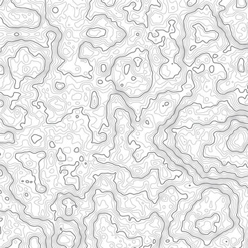Dense topographic contour lines, detailed elevation map pattern, transparent background