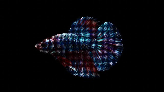 Betta fish silhouette formed by blue and red halftone dots