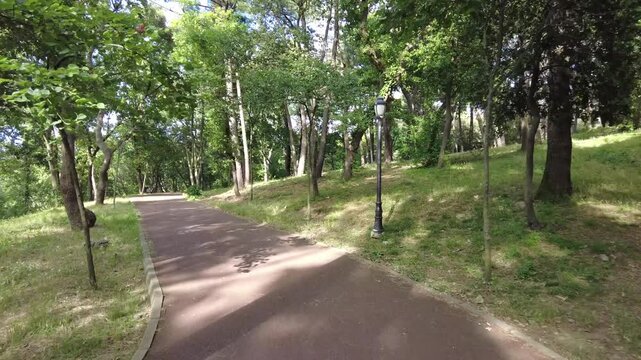 Smooth movement along paved path through lush green city park forest with tall trees and sunlight