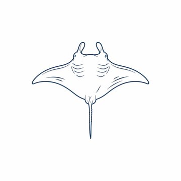 Stingray marine animal line art vector illustration