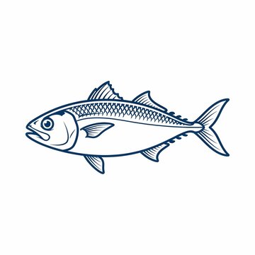 Mackerel tuna fish line art vector illustration