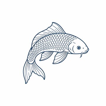 Japanese koi fish swimming vector line art illustration
