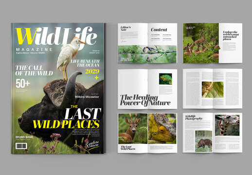 Clean Natural Green Magazine Template