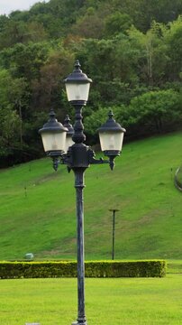 Modern light pole standing among green trees in a public park.