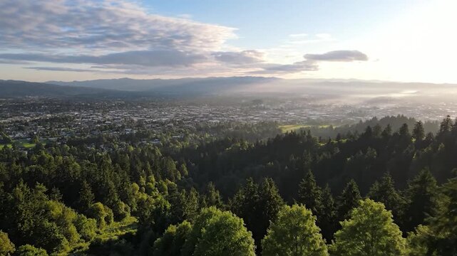 Eugene Oregon city and Willamette Valley landscape with forested foothills beneath soft morning light, natural greenery and cinematic Pacific Northwest scenery