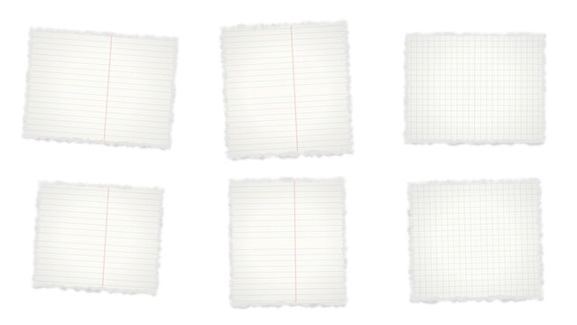 Graph paper sheets with vertical dashed line isolated transparent isolated on transparent background