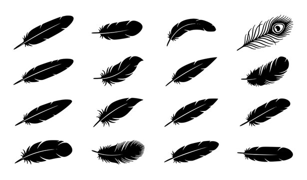 Feather Silhouette Icon Set Featuring Peacock and Bird Plumage Shapes for Bohemian and Vintage Graphic Designs