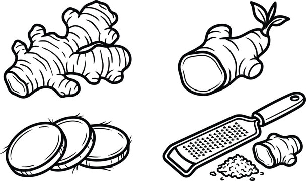 Fresh ginger root line icon set featuring whole rhizome slices grater and herbal cooking ingredient vector symbols