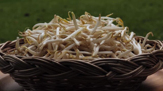 Fresh bean sprouts arranged in a natural basket