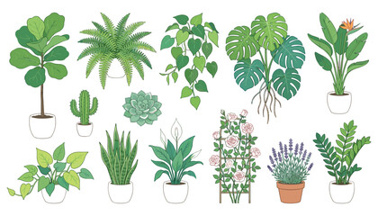 Tropical Indoor Plant Collection with Potted Foliage, Ferns, Monstera, Succulents, Cactus, Flowers, and Decorative Houseplants © Songkari