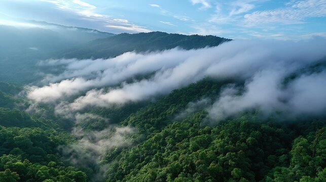 misty clouds rolling over lush green forested mountains