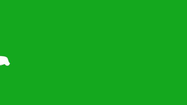 Torn paper transition animation, ripped paper reveal effect, grunge paper tear overlay, vintage edge wipe, realistic paper rip texture, alpha channel 4K video green screen