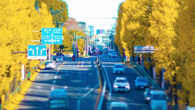 A timelapse of miniature traffic jam at the yellow gingko street in Tokyo panning