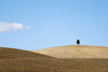 Obraz premium Val d'Orcia landscape