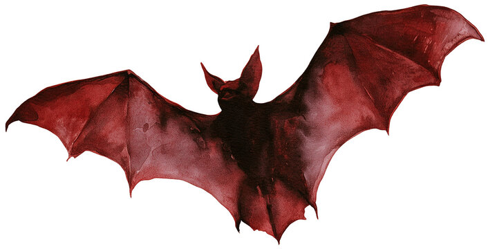 Water color illustration of Spider for Halloween on transparent background