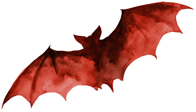 Water color illustration of Spider for Halloween on transparent background
