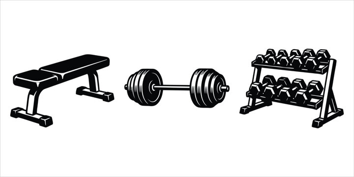 Gym fitness center equipment set featuring a weight bench dumbbell rack weight training workout gear strength training gym tools exercise equipment lifting weights sports gear