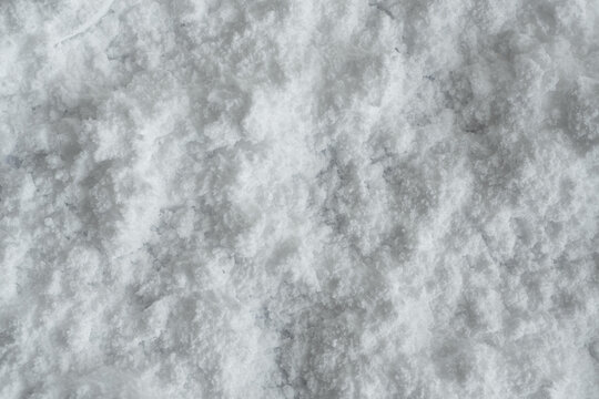 Creatine monohydrate powder texture