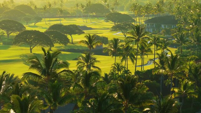 Warm golden sunrise light glows over swaying coconut palm trees and lush green golf course fairways with luxury villas on Big Island Hawaii captured from an elevated drone view.